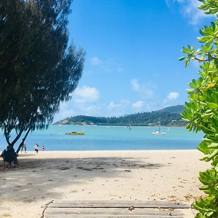 Backpackers By The Bay Vandrerhjem Airlie Beach Eksteriør bilde