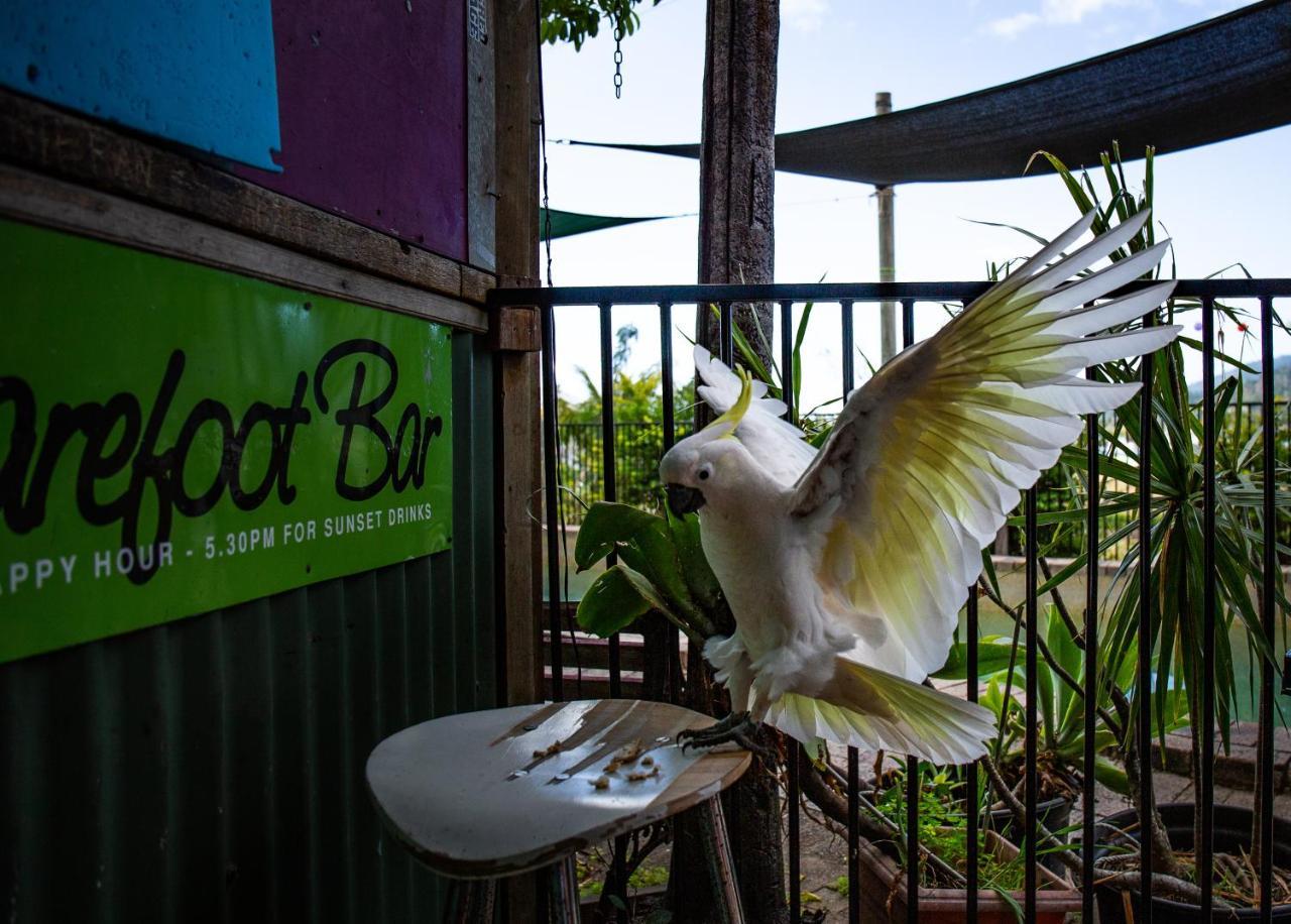 Backpackers By The Bay Vandrerhjem Airlie Beach Eksteriør bilde