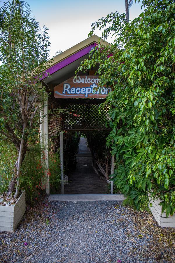Backpackers By The Bay Vandrerhjem Airlie Beach Eksteriør bilde